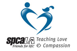 spcaLA eaching love and compassion