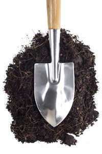 Soil. The Foundation For Any Great Garden