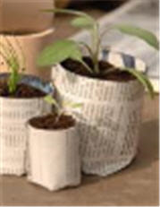 newspaper plant pots