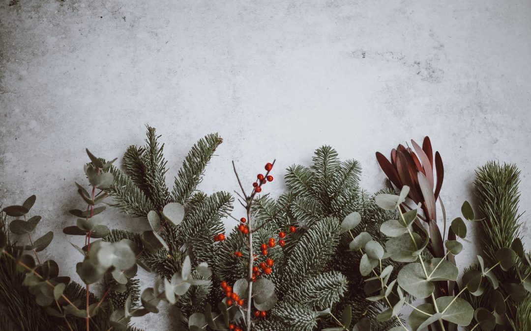 Ways to have a zero-waste Christmas and save the world