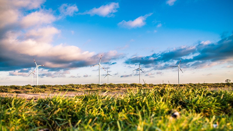 Wind Farms and Their Impact on Property Values
