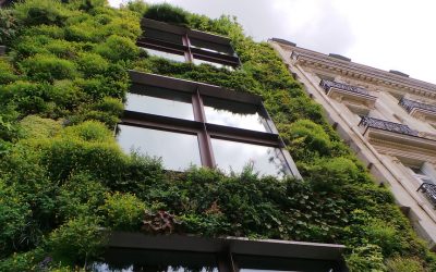 The Rise and Development of Eco Property in the Modern Age