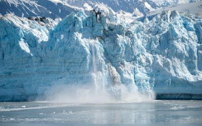 Refining Our Culinary Habits To Save The Melting Glaciers